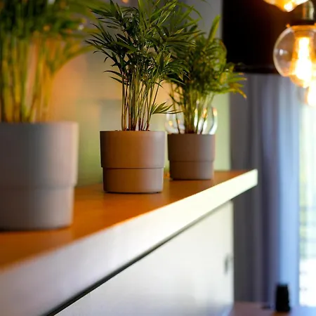 Na Wzgorzu * 쿠도바-즈루이